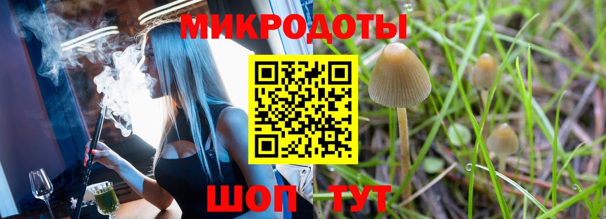 Псилоцибиновые грибы ЛСД Балашиха