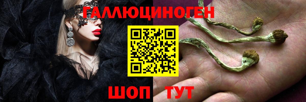Балашиха  Псилоцибиновые грибы MAGIC MUSHROOMS  Вход с VPN 